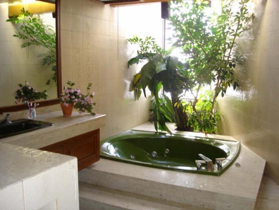 Цветы в ванной без окон. Растения в ванной. Комнатные растения в ванную комнату. Растения для ванной комнаты без окна. Интерьер ванной комнаты с живыми цветами.