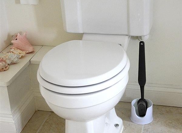 Инструкция по использованию туалетного ершика в картинках