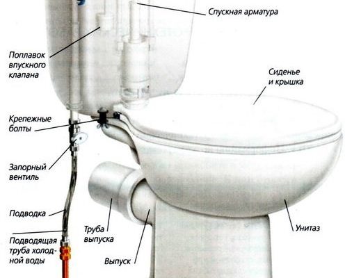 Схема унитаза с бачком в разрезе