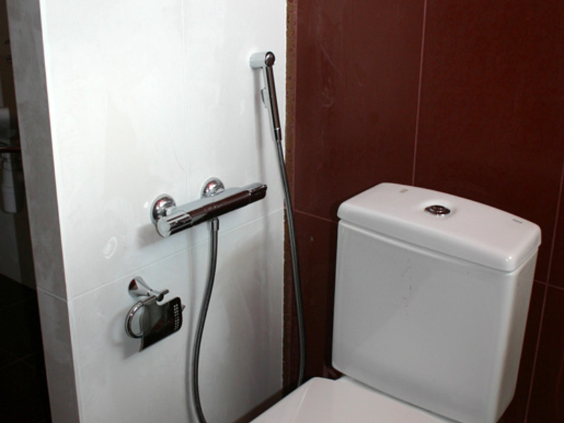 Душа крепление унитаз. Смеситель для гигиенического душа в туалете настенный. Туалет с гигиеническим душем встроенный.