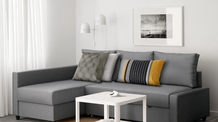 Особенности выбора и эксплуатации дивана дельфин